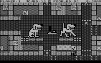 fooblitzsky-02.jpg
