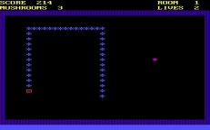 nerm-bemer-01.jpg