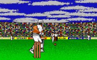 world-cricket-04