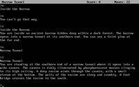 zork-ii-the-wizard-of-frobozz-walkthrough
